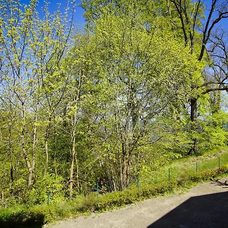 Strandresidenz Brandenburg 14 Mit Sauna- Und Schwimmbadnutzung Im Ahoi Sellin Lägenhet