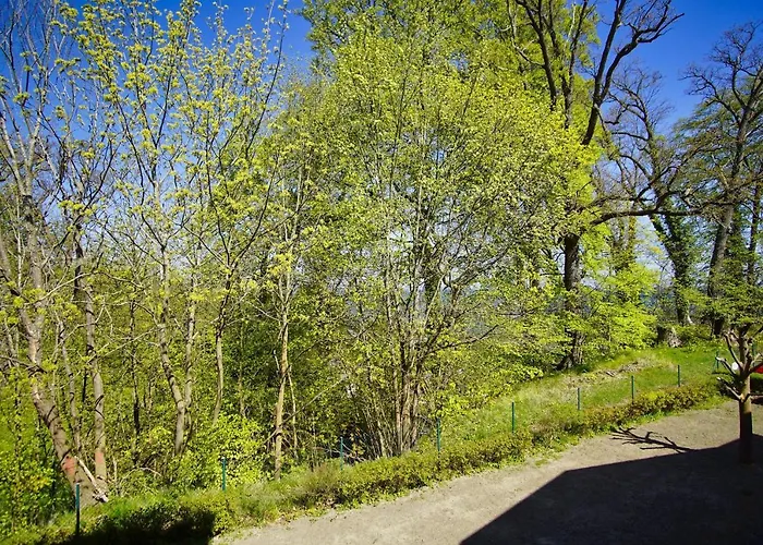 Strandresidenz Brandenburg 14 Mit Sauna- Und Schwimmbadnutzung Im Ahoi Sellin Lägenhet